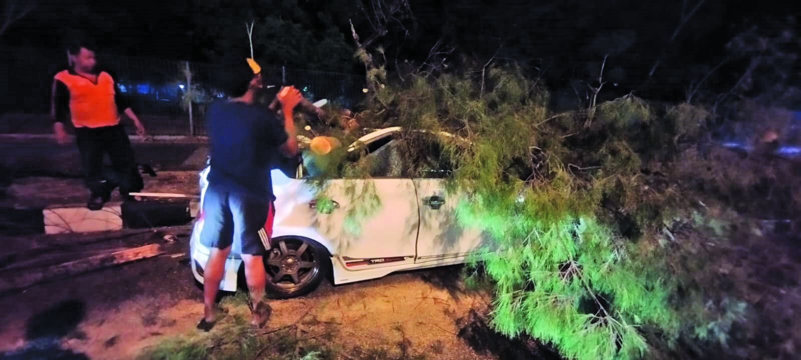 TAK ADA KORBAN: Pohon tumbang yang menimpa mobil di Jalan Mentri Supeno, Sabtu malam (7/10).