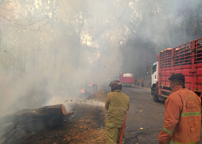 Kebakaran di wilayah Gunung Pegat Kecamatan Nguntoronadi, Wonogiri, Kamis (12/10) siang.