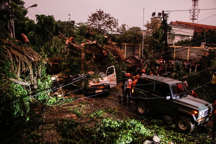Petugas gabungan mengevakuasi pohon tumbang yang menimpa mobil pikap GranMax di Jalan Abdurahman Saleh tepatnya di sekitar Stasiun Solo Balapan, Selasa (24/10/2023)