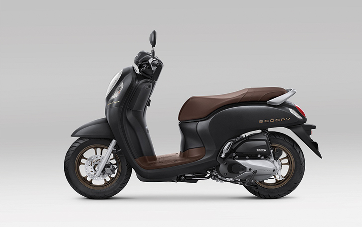 Scoopy Prestige Black