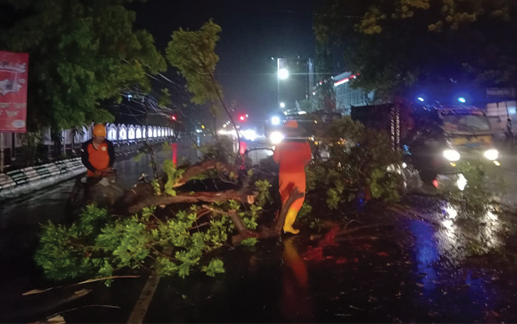 Sejumlah pohon tumbang di Kabupaten Sragen pasca hujan lebat disertai angin kencang yang melanda wilayah tersebut, Sabtu (4/11) kemarin.
