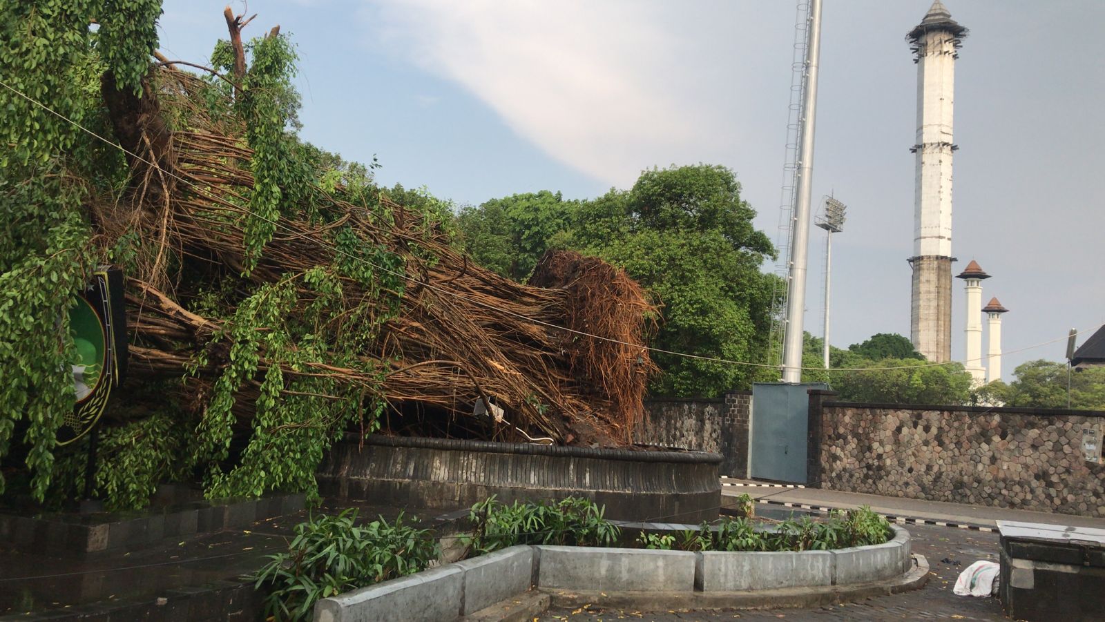 Pohon beringin berukuran raksasa di kawasan Stadion Sriwedari tumbang akibat hujan deras dan angin kencang, Sabtu (11/11/2023).