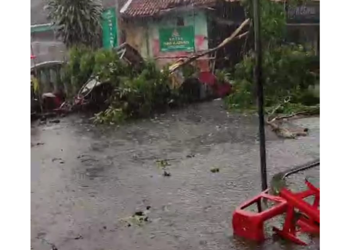 Potongan video dahan pohon patah timpa gerobak pedagang di&nbsp;Jalan Suwijoyo, Kelurahan penumping, Kecamatan Laweyan atau belakang SGM, Sabtu (11/11).