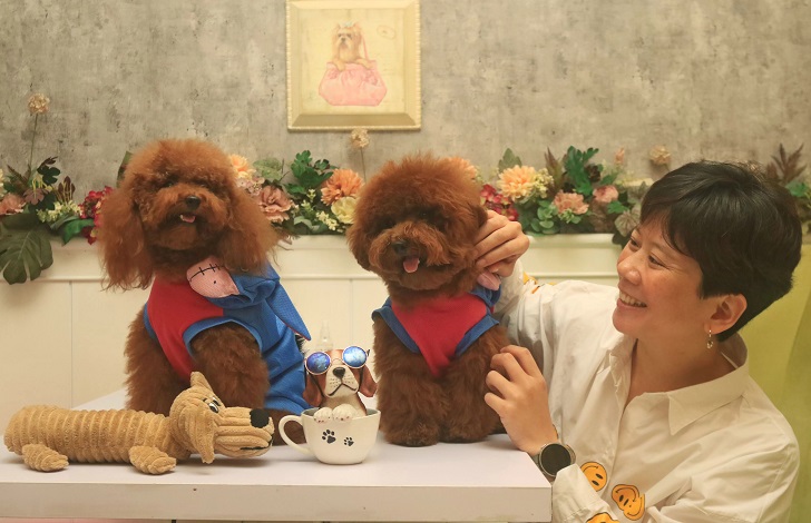 Ilustrasi Aajing jenis poodle. Jenis ini harus dilatih dan membutuhkan perawatan khusus, terutama untuk bulu, gigi, dan telinga.