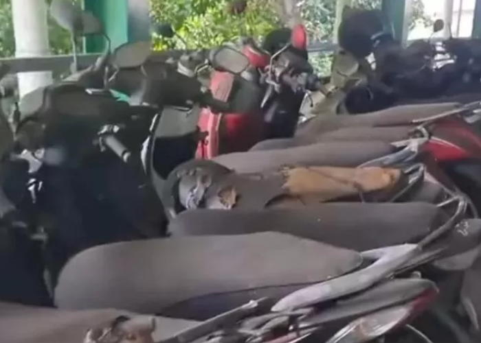 Kondisi motor di parkiran Bandara I Gusti Ngurah Rai Bali yang lama tak diambil pemiliknya.