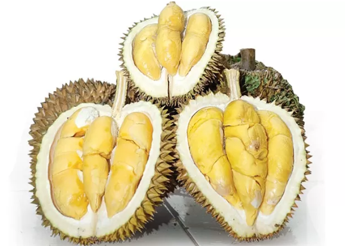 Buah durian mengandung banyak manfaat.