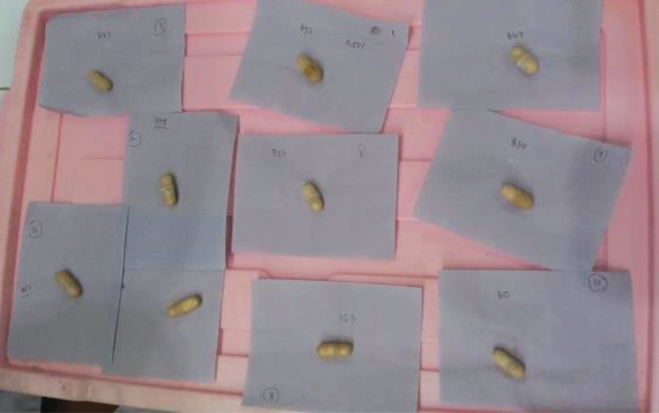 Gambaran prototipe produk cangkang kapsul berbahan dasar tepung porang yang dikembangkan Tim Peneliti dari Pusat Studi Standardisasi Ekstrak Farmasi (SEFA) Fakultas Farmasi UMS.