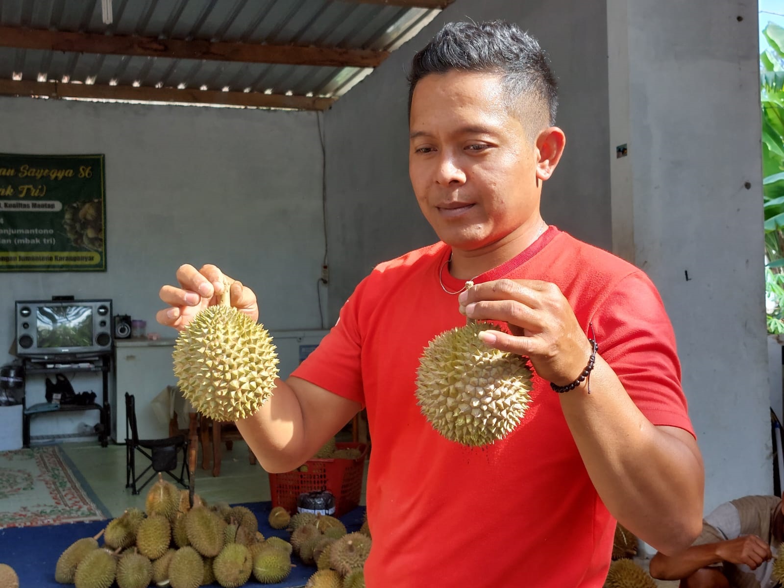 Durian Merica khas Kecamatan Jumantono, Kabupaten Karanganyar berukuran lebih kecil dari jenis lainnya. (RUDI HARTONO/RADAR SOLO)