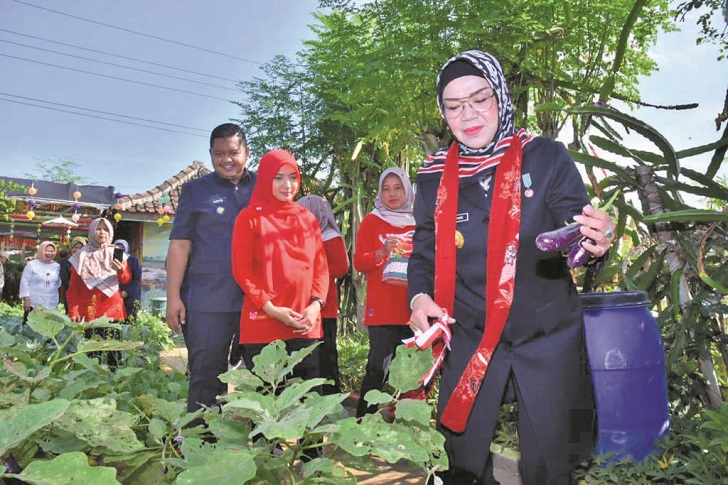 Bersama Bupati Sukoharjo Etik Suryani di kebun sayur dan buah yang dikelola PKK Kecamatan Sukoharjo.