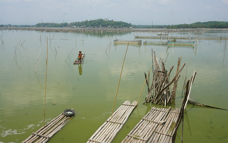SIKLUS TAHUNAN: Sejumlah petani ikan keramba waduk Rowo Jombor, Desa Krakitan, Kecamatan Bayat membersihkan ikan yang mati, kemarin (28/12). Inset, ikan nila yang mati.