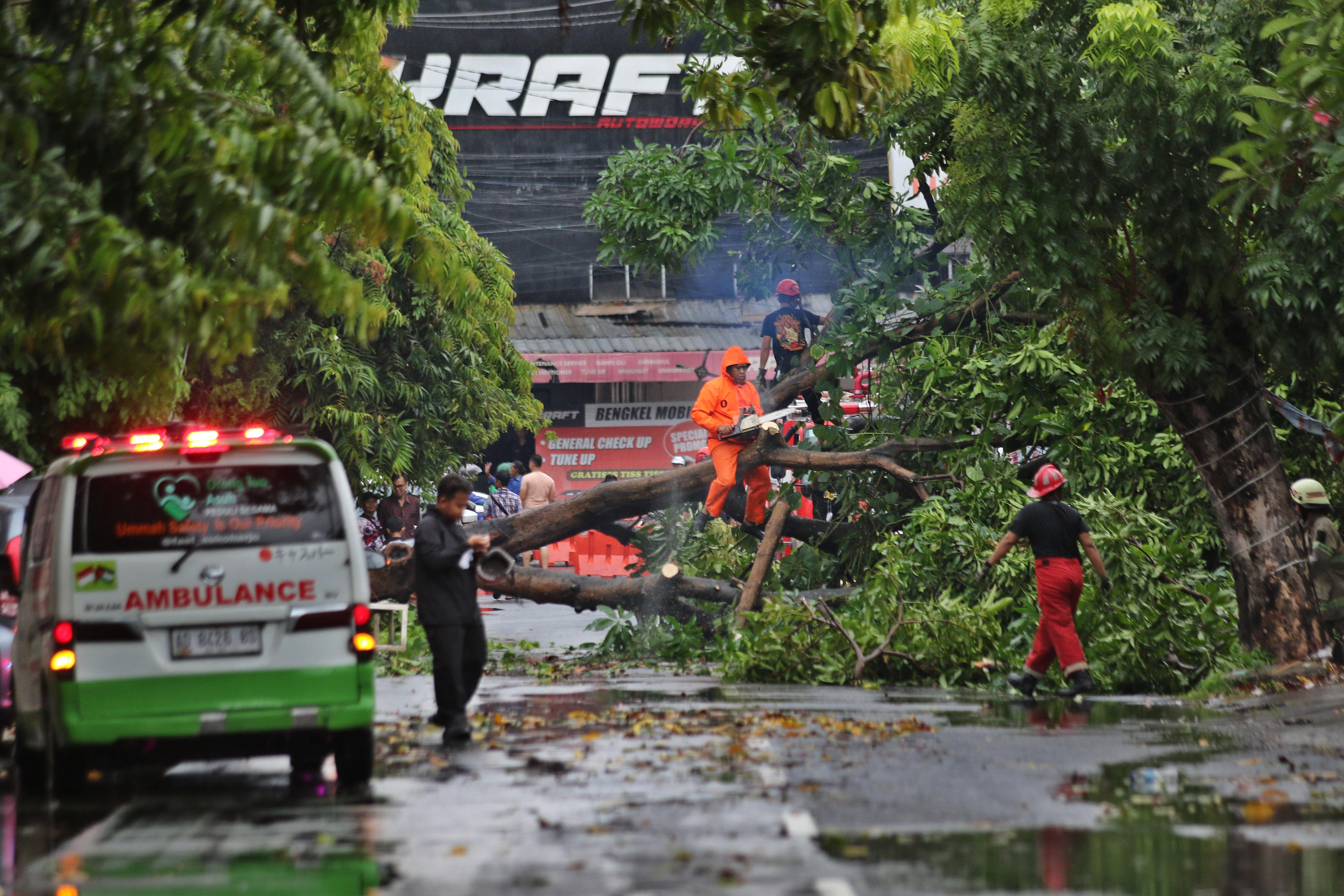 Tim gabungan dari BPBD Kota Surakarta, Damkar, PMI tengah mengevakuasi pohon tumbang di Jalan Kebangkitan Nasional, Rabu (3/1).