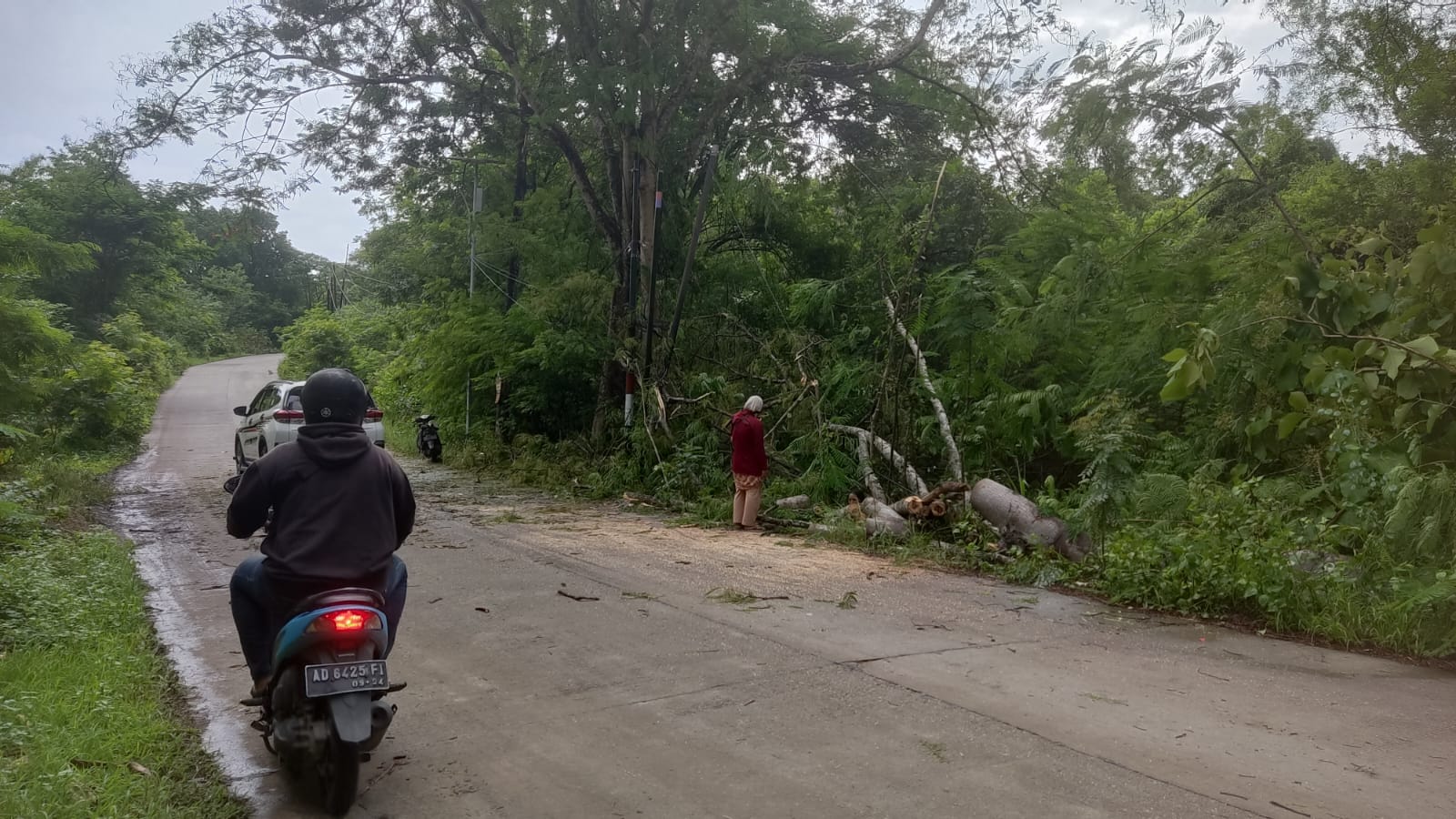 Arus lalu lintas di area Alas Kethu Kecamatan Wonogiri kembali lancar Rabu (3/1/2024). Sebelumnya, pohon tumbang melintang di jalan.