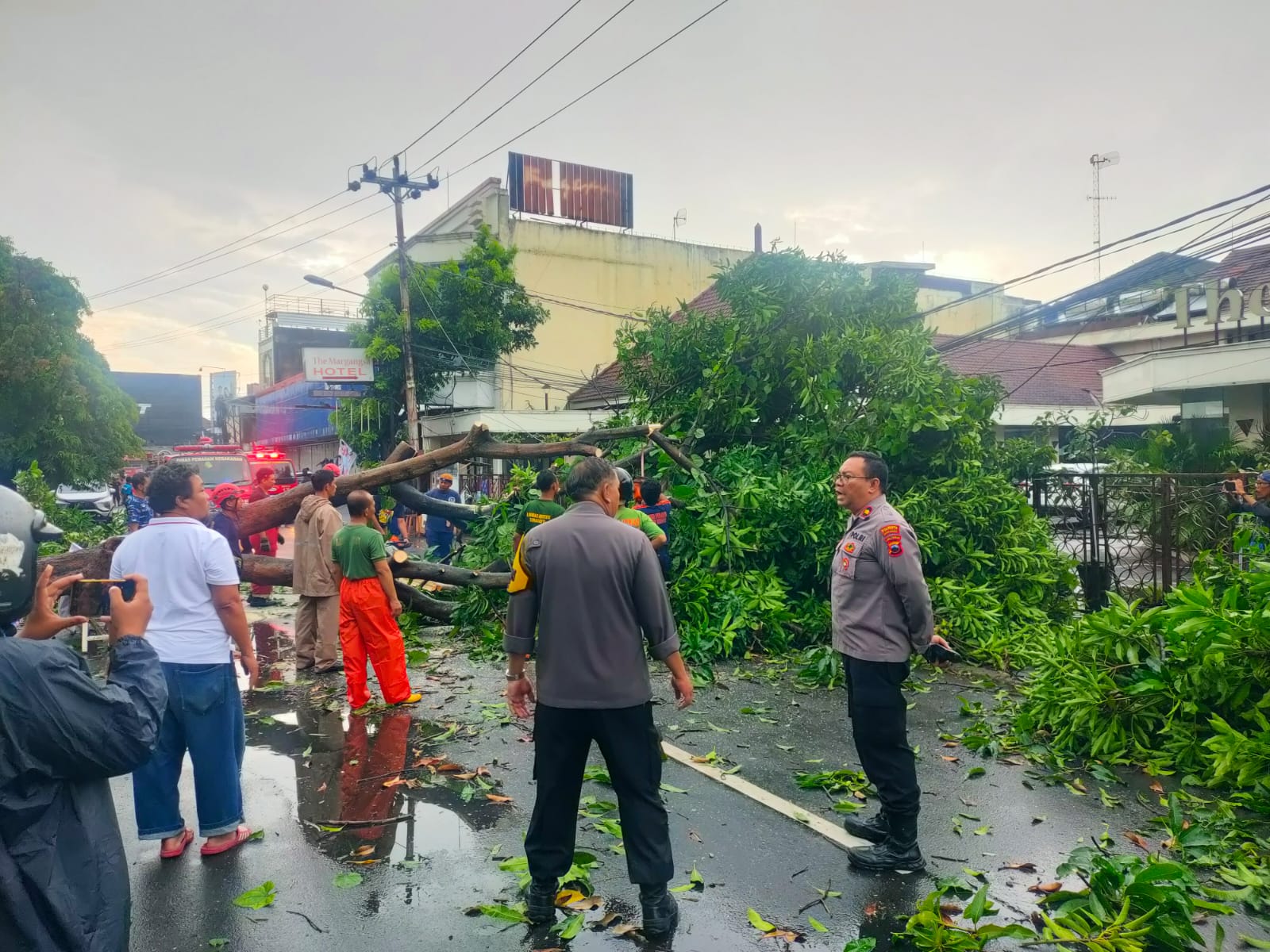 Kapolsek Laweyan Kompol Dani Herlambang cek lokasi pohon tumbang di depan Hotel Margangsa, Kota Solo.