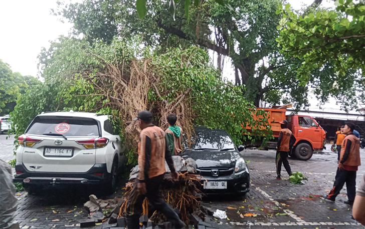 Pohon beringin tumbang dan timpa dua mobil yang terparkir di Pasar Depok, Rabu (3/1).