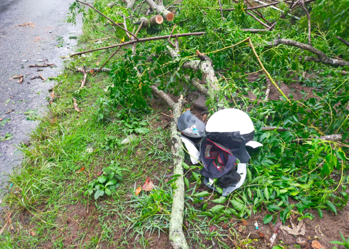 Kondisi helm milik korban Supardi usai motor dan pengendara tertimpa pohon tumbang di Jalan Musuk-Cepogo, Desa/Kecamatan Musuk, Boyolali, Kamis (4/1).
