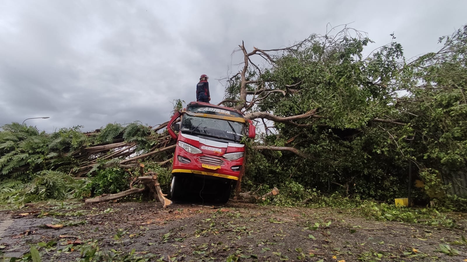 Petugas pangkas dahan pohon yang tumbang dan timpa minibus di Dusun Jatibedug RT 03 RW 07 Desa Purworejo, Kecamatan Wonogiri Kota, Jumat (19/1/2024)