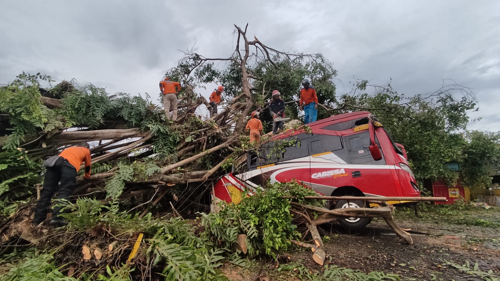 Penanganan pohon tumbang yang menimpa minibus di Dusun Jatibedug, Desa Purworejo, Kecamatan Wonogiri Kota, Jumat (19/1/2024).