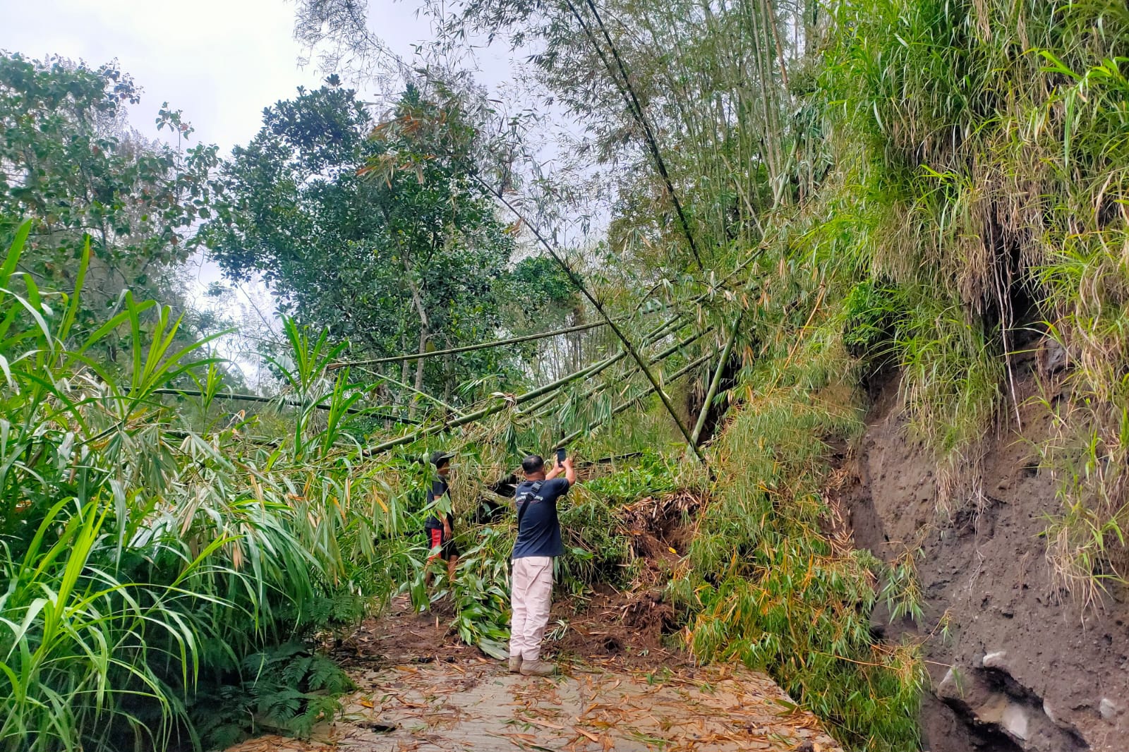 Tanah bercampur batu dan rumpun bambu menutup akses penghubung Desa Suroteleng- Desa Samiran, Kecamatan Selo, Kabupaten Boyolali.