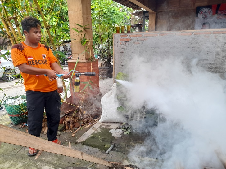 Pengasapan atau fogging untuk membunuh nyamuk dewasa.