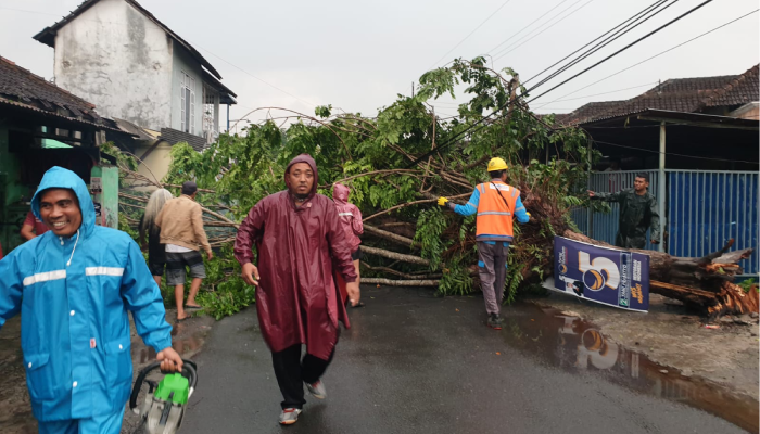 Tim gabungan melakukan evakuasi dan pembersihan pohon tumbang di Sukoharjo, Kamis (2/8).