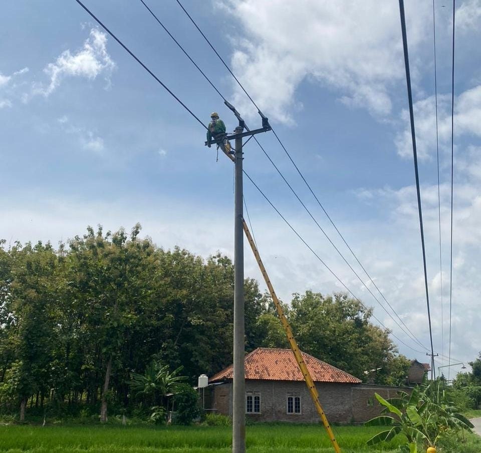 Petugas PLN memperbaiki jaringan listrik.