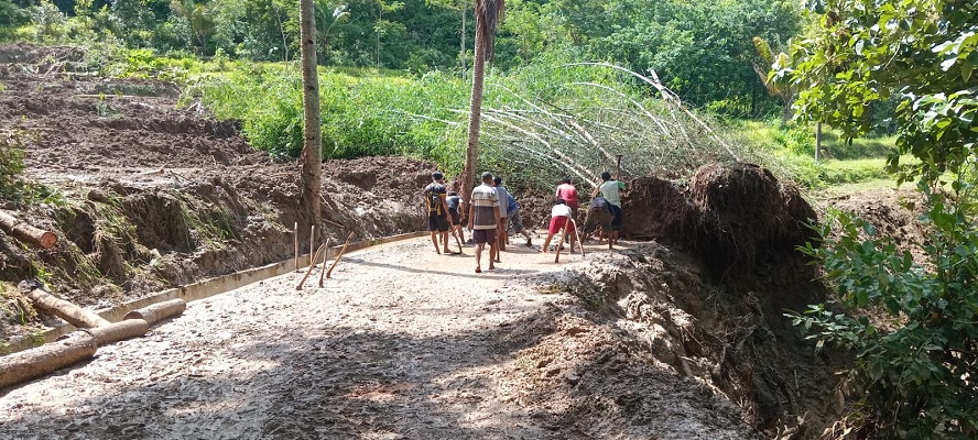 Rumpun bambu yang longsor menimpa akses jalan antardusun di Desa Gumiwang Lor, Kecamatan Wuryantoro, Kabupaten Wonogiri, Rabu (6/3/2024).
