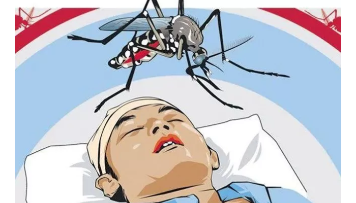 Ilustrasi penderita demam berdarah dengue (DBD).