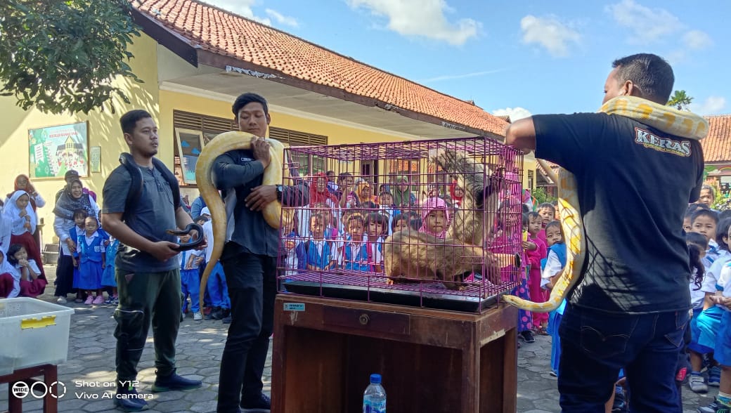 Koemunitas pecinta hewan beri edukasi ke sekolah