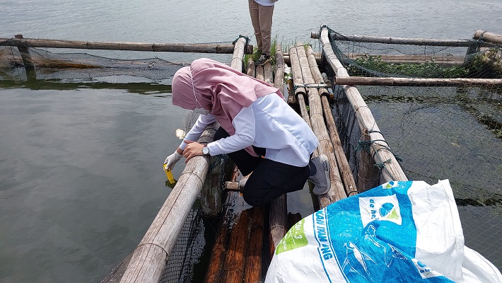 Pengecekan kualitas air di keramba jaring apung Waduk Cengklik, Kecamatan Ngemplak, Kabupaten Boyolali, Rabu (13/2/2024).