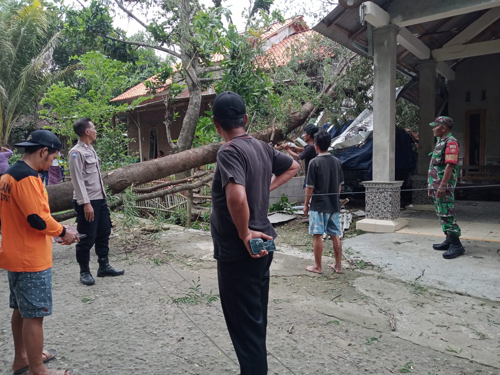 Pohon tumbang di Bonagung, Tanon, Sragen menimpa rumah, Rabu sore (13/3/2024)