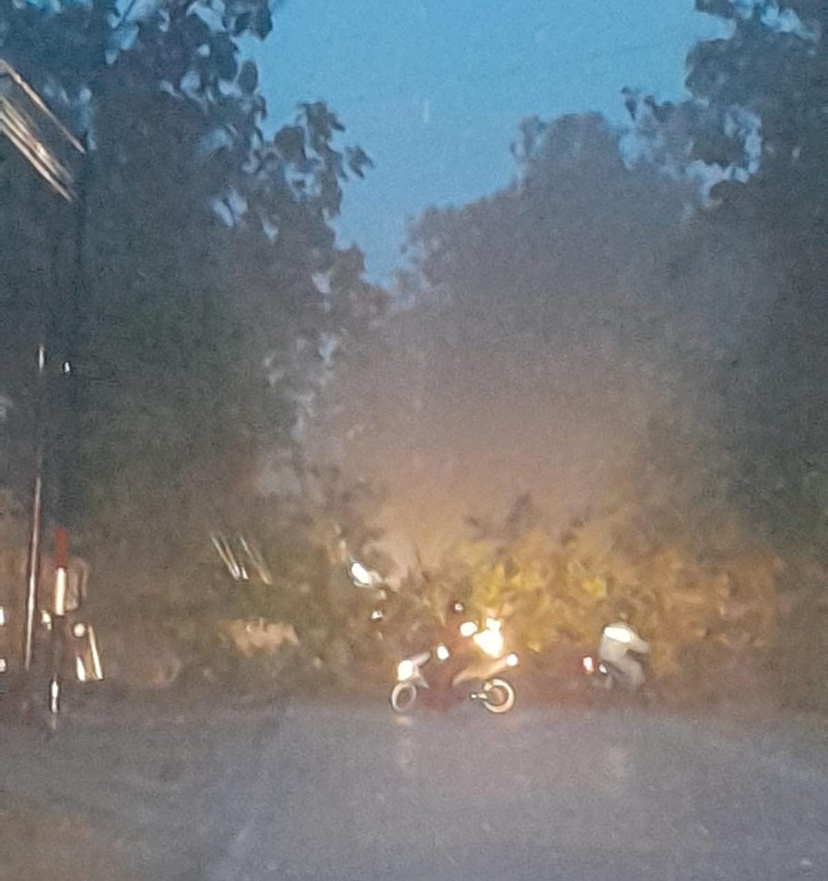 Pohon tumbang tutup akses jalan di wilayah Kecamatan Eromoko, Kabupaten Wonogiri, Kamis (14/3/2024).