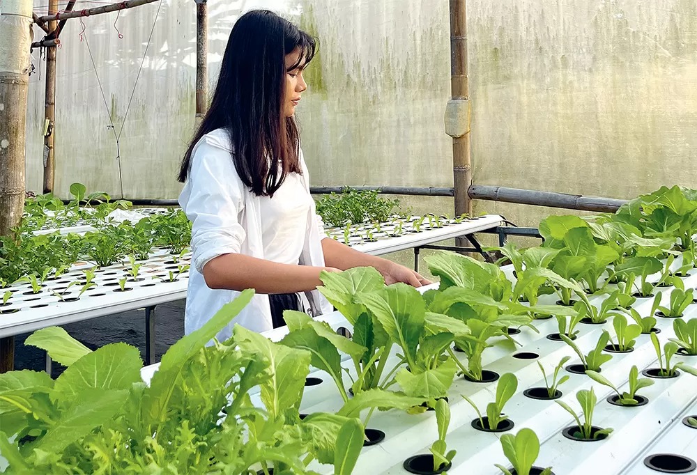 TUMBUH BAIK: Tak hanya menjadi tempat budi daya beragam tanaman, Forever Green juga menjadi tempat mahasiswa magang maupun masyarakat umum yang ingin belajar mengenai hidroponik.