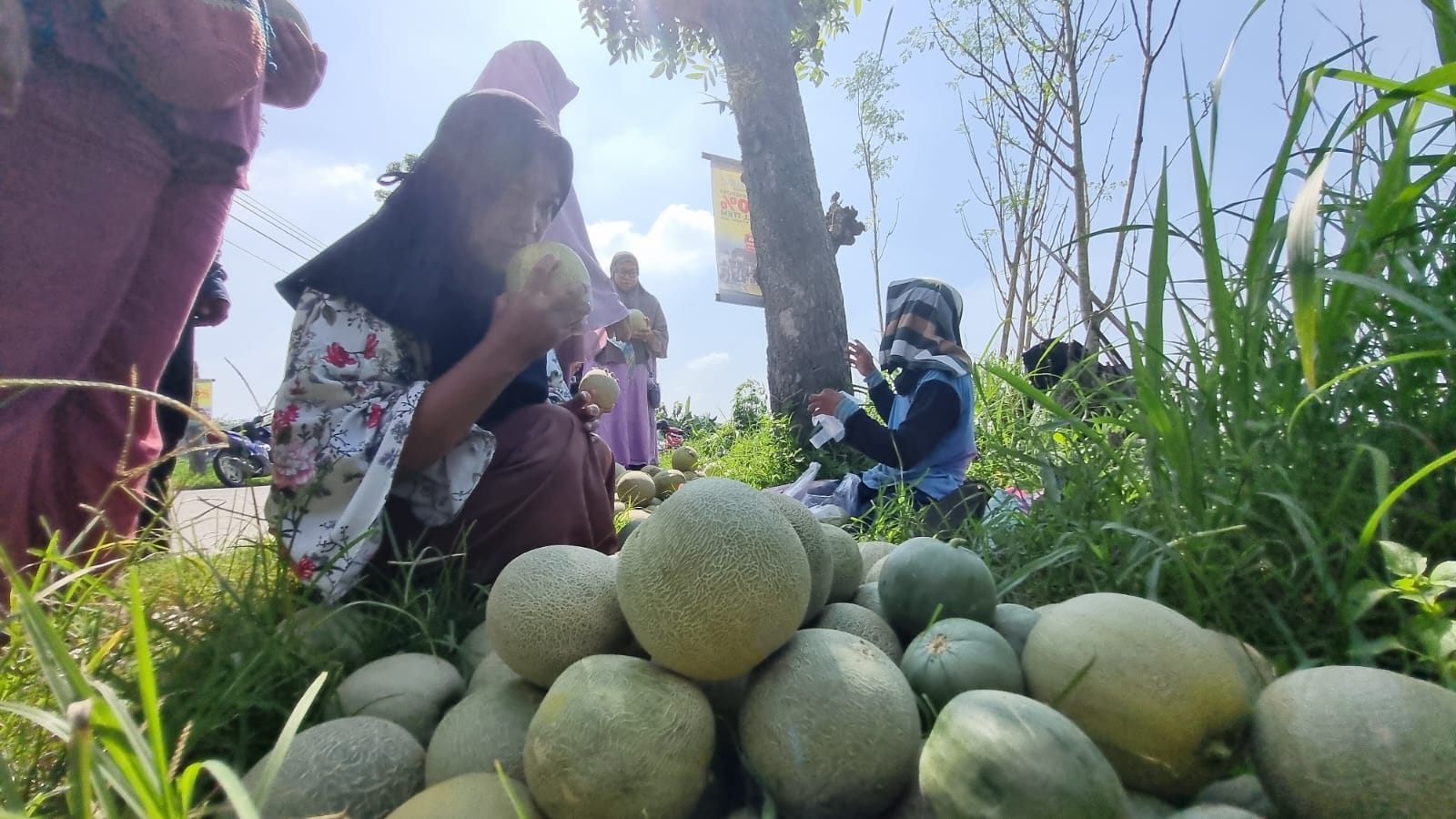 Pembeli bisa langsung bertransaksi buah melon di tepi kebun Desa Tempursari, Kecamatan Sambi, Kabupaten Boyolali.