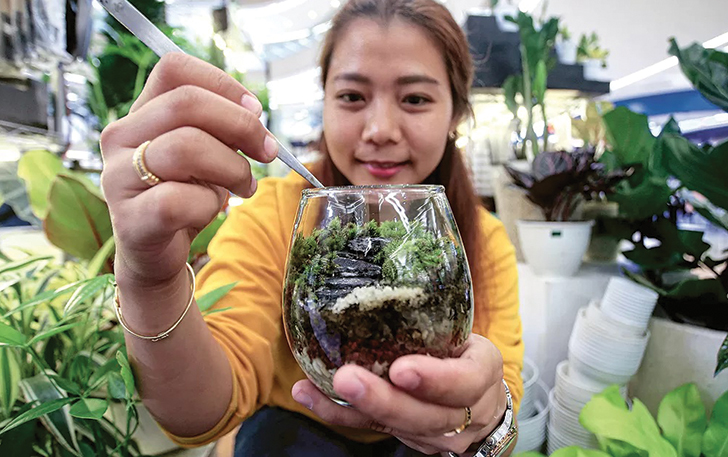 UNIK: Pehobi terarium menggunakan pinset khusus untuk meletakkan lumut hutan agar melekat pada batu alam.