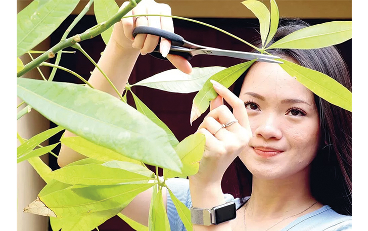 AGAR TUMBUH BAGUS: Christina memotong daun yang rusak. Dia juga memilih menggunakan coco fiber untuk menjaga kelembapan media tanam.