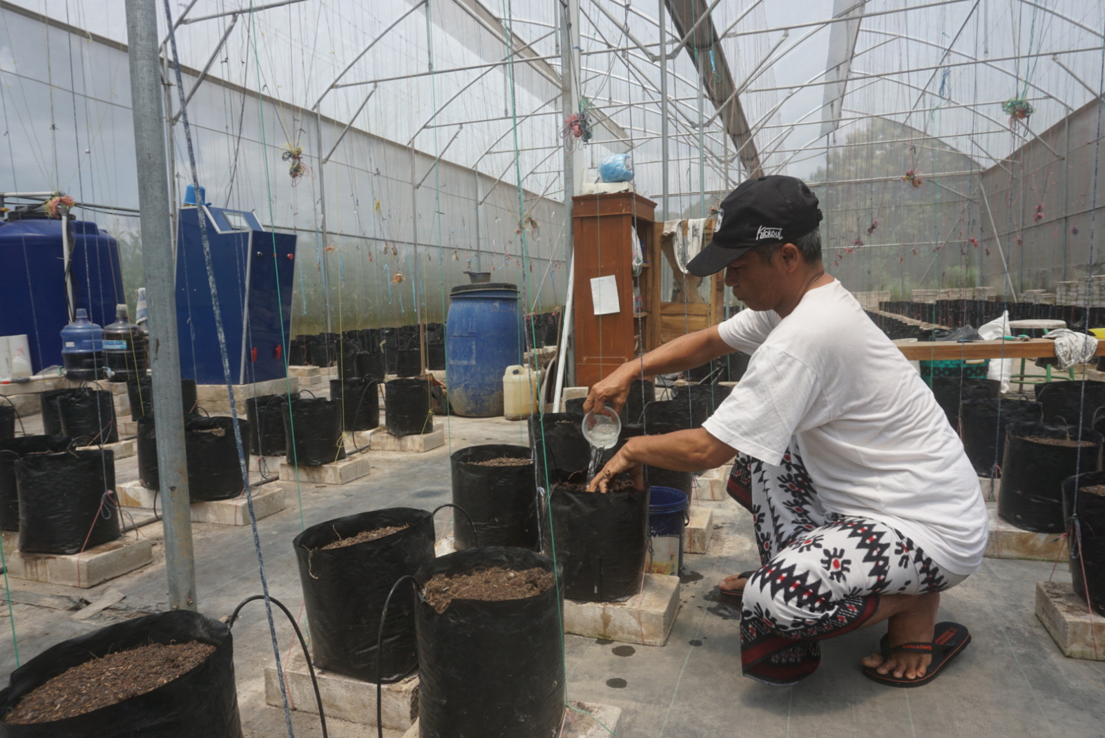 Pengasuh Ponpes Kyai Ageng Selo Heri Sarwoko menunjukan hasil budidaya melon jenis inthanon. (Angga Purenda/Radar Solo)