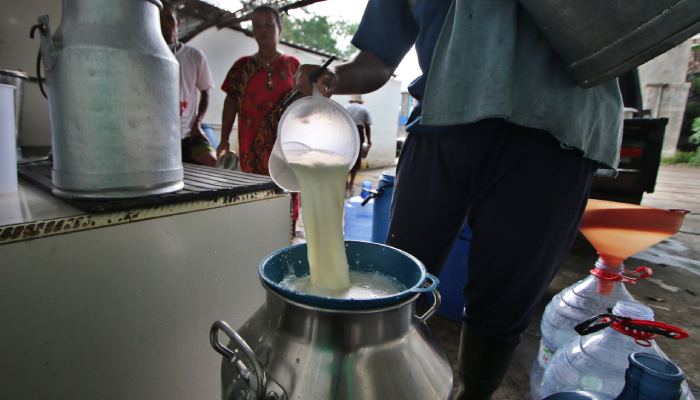 ARIEF BUDIMAN/RADAR SOLO Harga susu produksi peternak di Boyolali bisa dijual seharga Rp 7.000 per liter.