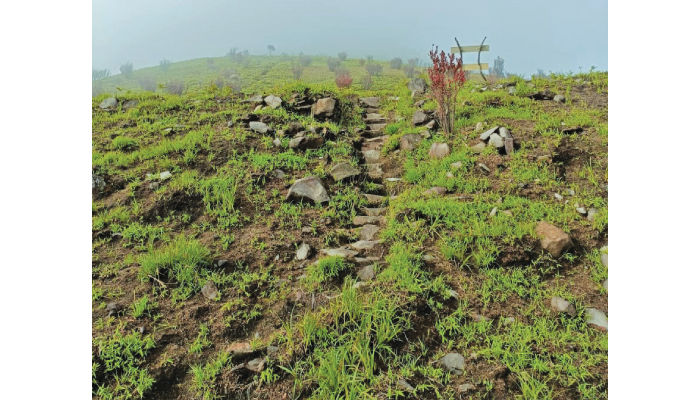 Kondisi Situs Timboa di jalur pendakian Gunung Merbabu pasca kebakaran pada 2023. Batu-batu pipih tertata rapi beserta anak tangga bagian dari situs.