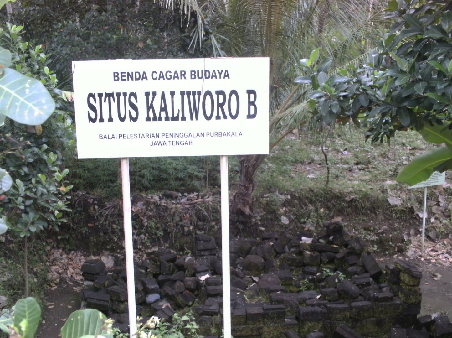 Situs Kaliworo B yang terletak di Dusun Pacitan, Desa Ngemplakseneng, Kecamatan Manisrenggo, Kabupaten Klaten, Jawa Tengah.