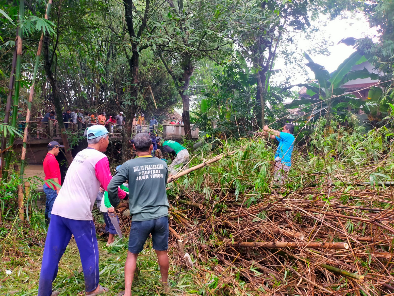Pembersihan rumpun bambu yang menyumbat jembatan Desa Kedungwinong, Nguter, Rabu (24/4).