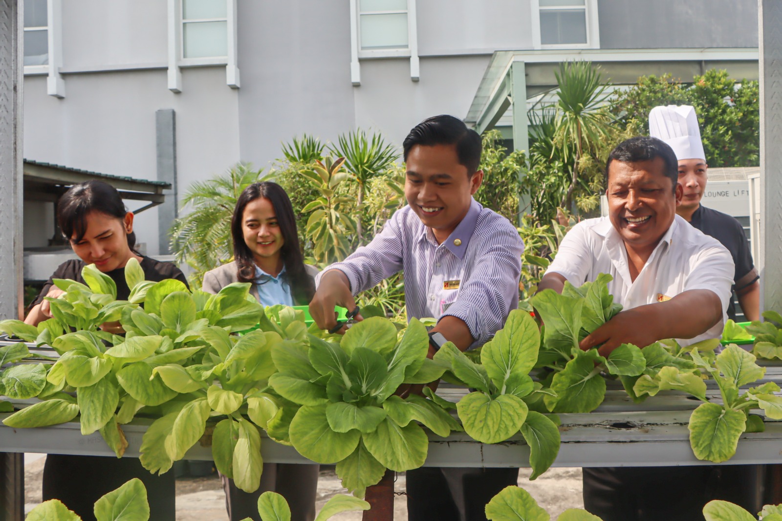 Kebun hidroponik yang ditanam di rooftop lantai enam Hotel Swiss-Belinn Saripetojo.