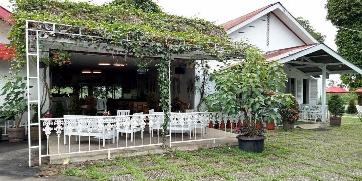 Ndoro Donker Tea House