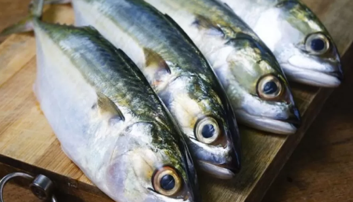 Ikan kembung.