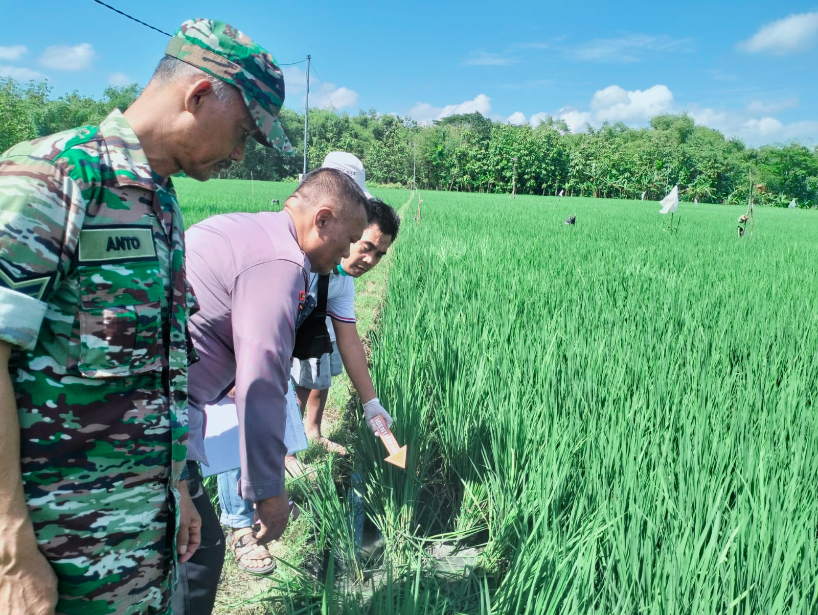 Polisi bersama TNI menggelar olah TKP di lokasi petani kesetrum di Desa Bendo, Kecamatan Sukodono, Sragen. (Ahmad Khairudin/Radar Solo)