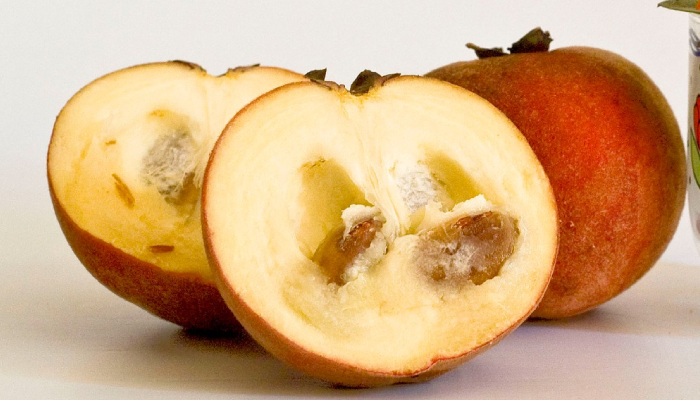 Buah bisbul atau buah mentega.