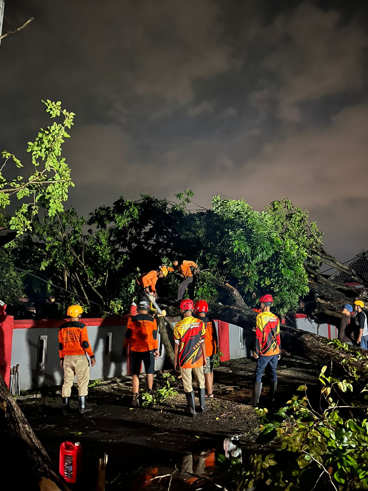 Relawan mengevakuasi pohon tumbang di depan SDN Plumbon, Kecamatan Mojolaban, Sukoharjo, Sabtu sore (27/4).