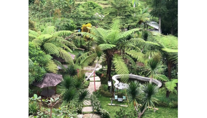 Suasana alam nan hijau di objek wisata Kampung Keceh Umbul Sejurang, Ngargoyoso, Karanganyar.