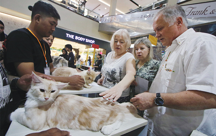 LUCU: Pameran kucing bertajuk International Cat Show Solo di Solo Paragon Mall, pekan lalu (28/4/2024).
