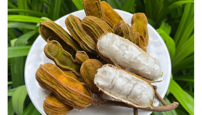 Buah salju atau ice cream bean.