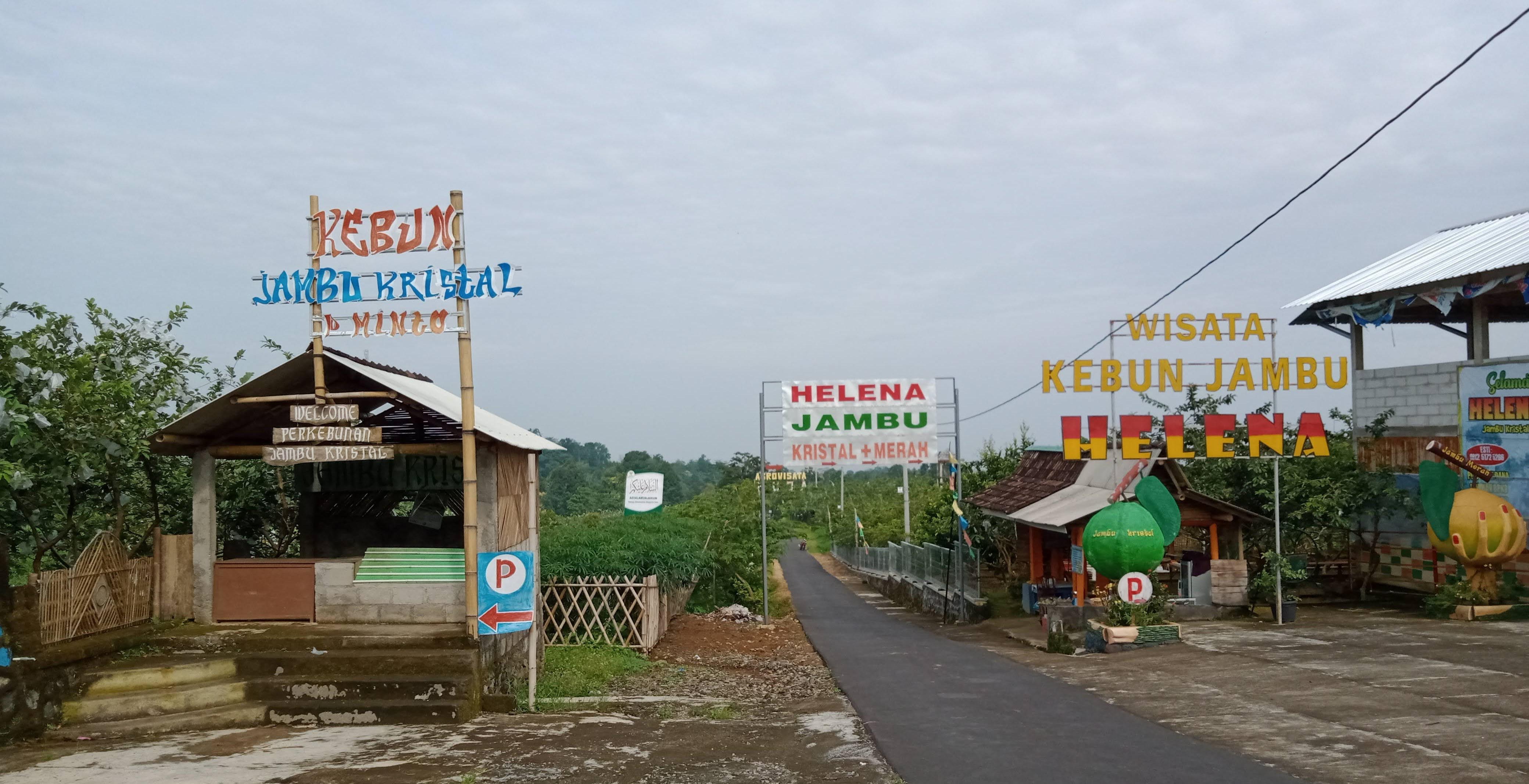 Suasana di Agrowisata Kebun Jambu HELENA di Ngargoyoso, Karanganyar.